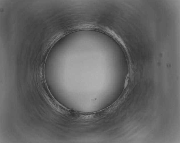 X0000071780057200606300927