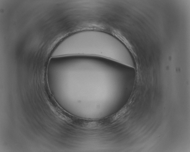 X0000071780058200606300927