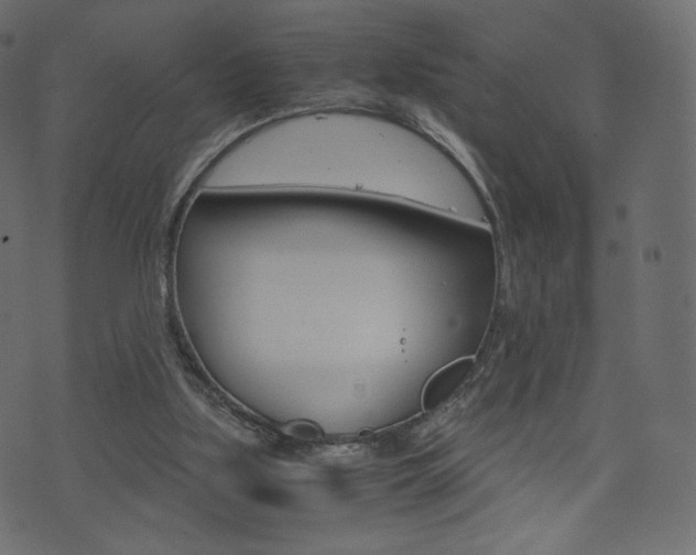 X0000071780059200606300927