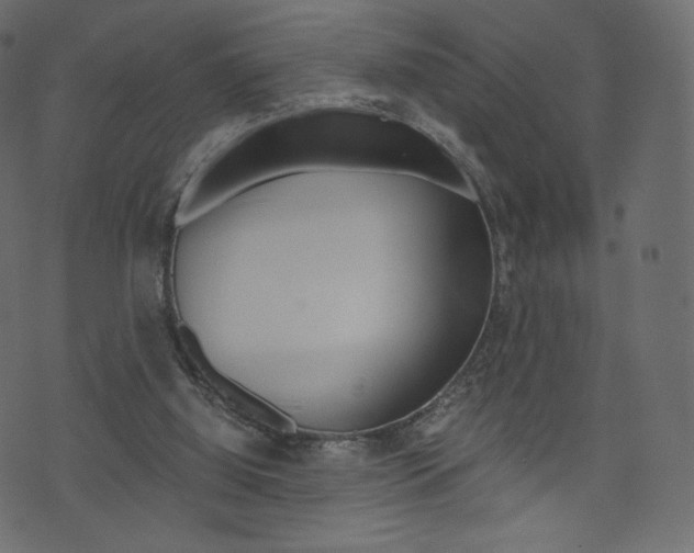 X0000071780060200606300927