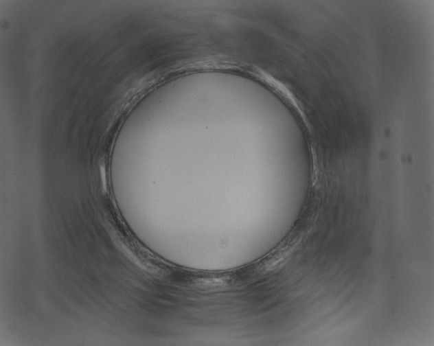 X0000071780061200606300927