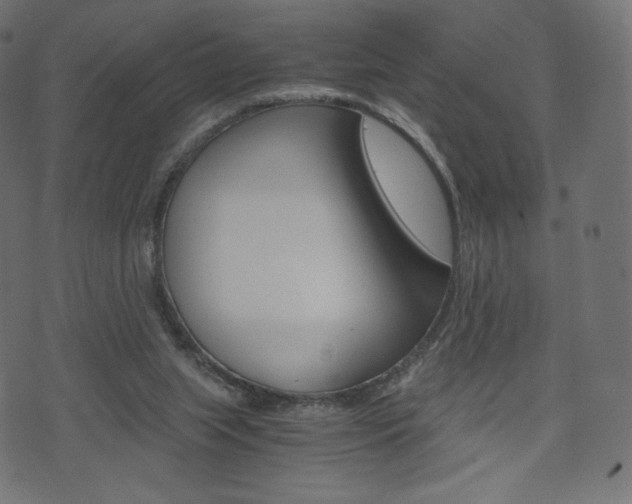 X0000071780063200606300927