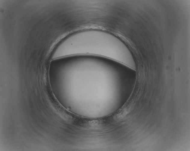 X0000071780064200606300927