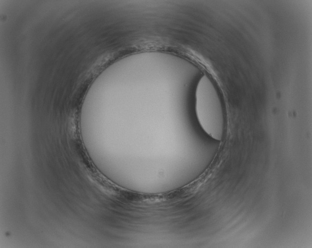 X0000071780065200606300927