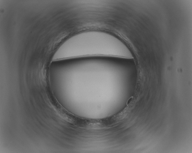 X0000071780066200606300927