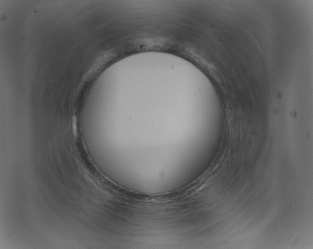 X0000071780067200606300927