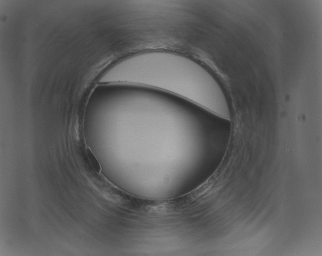 X0000071780068200606300927