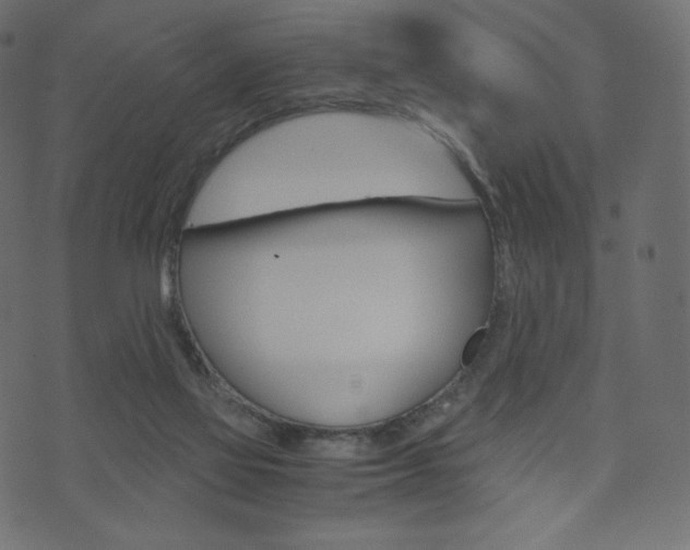 X0000071780069200606300927