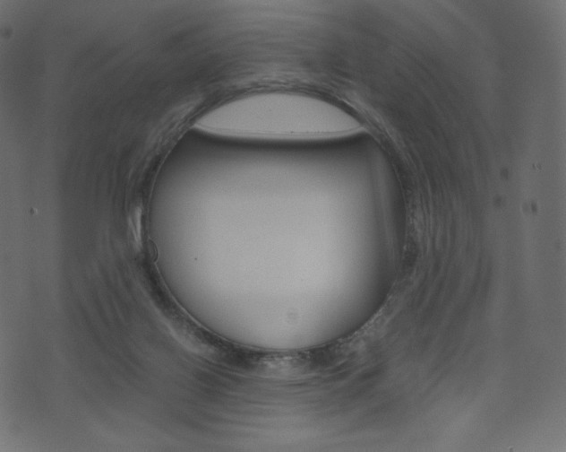 X0000071780070200606300927