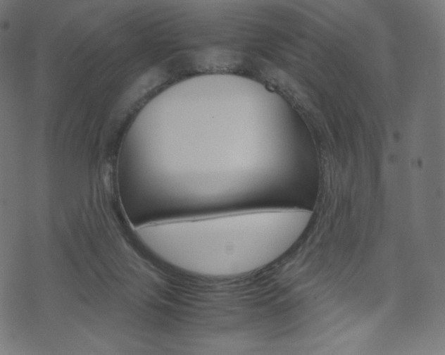 X0000071780071200606300927