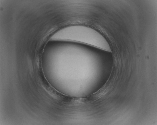 X0000071780072200606300927