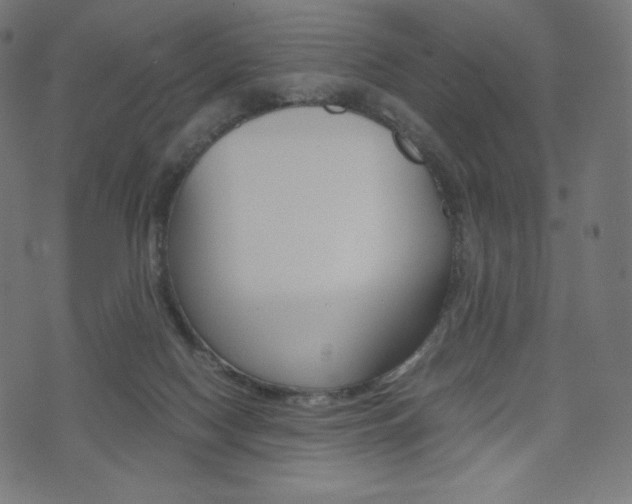 X0000071780074200606300927