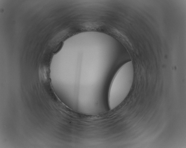 X0000071780075200606300927