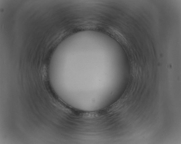 X0000071780077200606300927