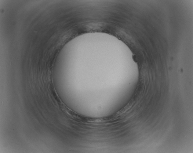 X0000071780079200606300927