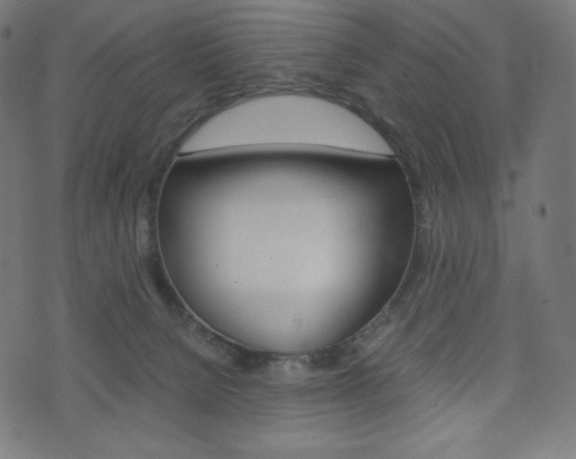 X0000071780080200606300927