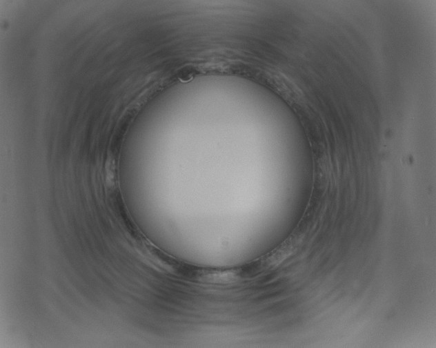 X0000071780081200606300927