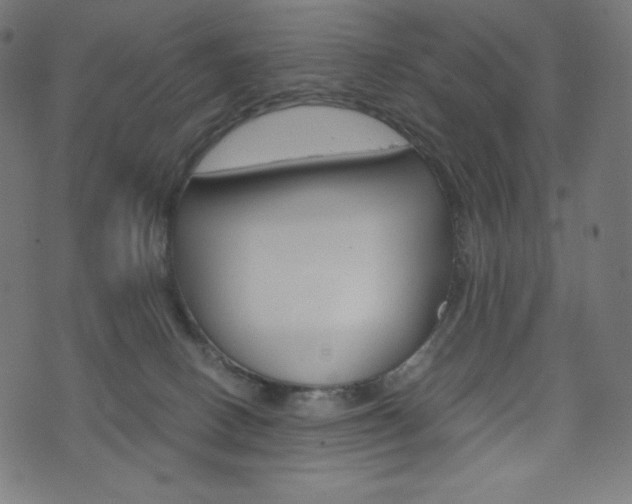 X0000071780082200606300927