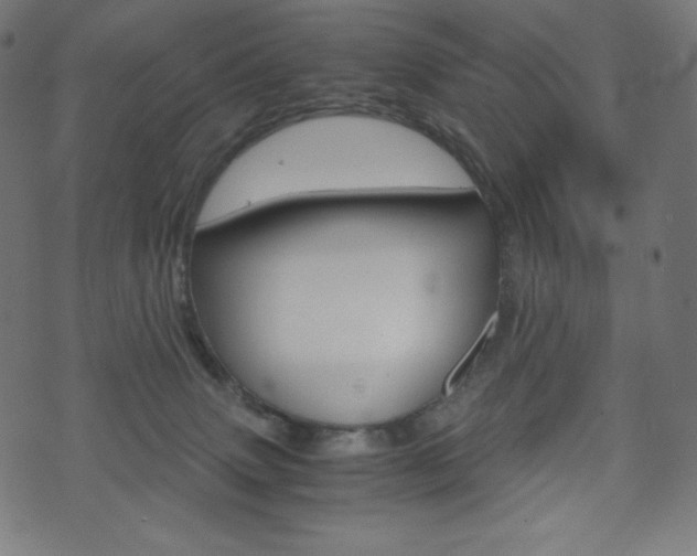 X0000071780083200606300927