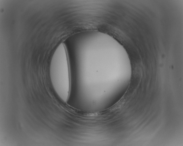 X0000071780084200606300927