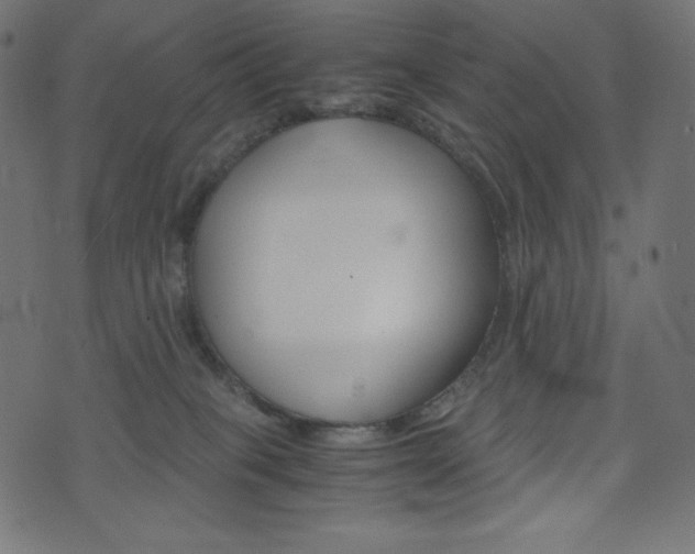 X0000071780085200606300927