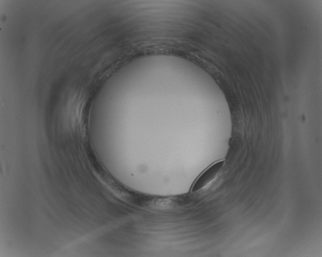 X0000071780086200606300928