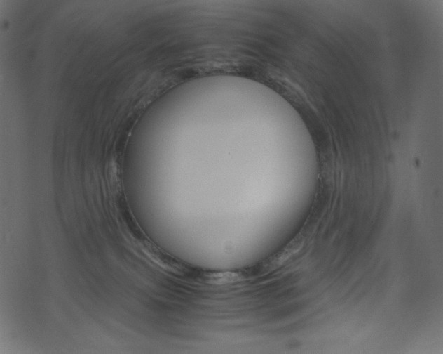 X0000071780087200606300928