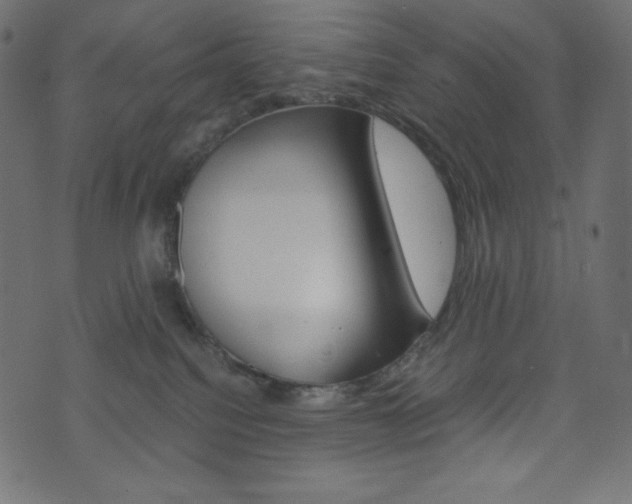 X0000071780088200606300928