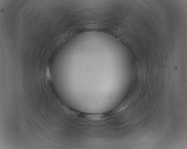 X0000071780089200606300928