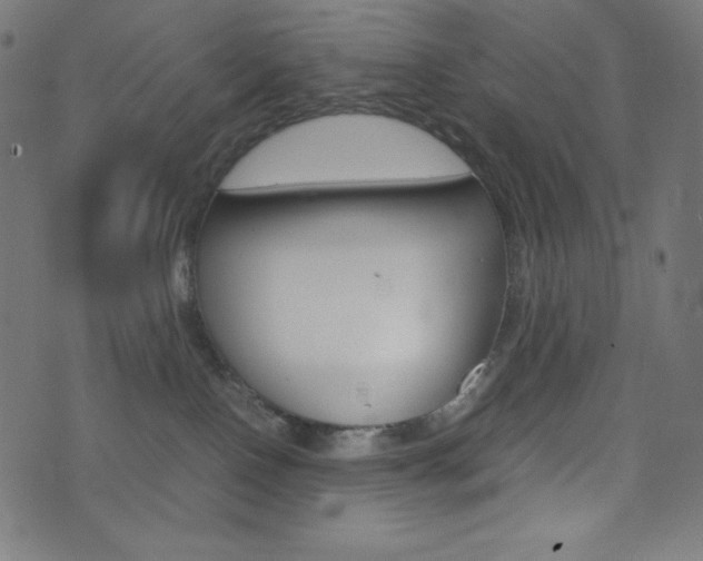 X0000071780090200606300928