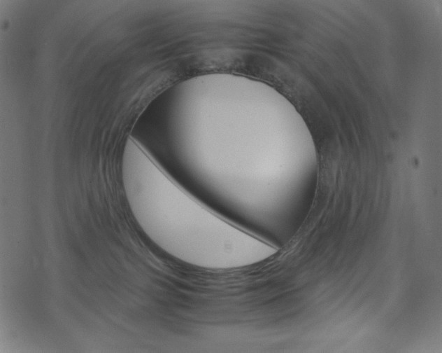 X0000071780091200606300928