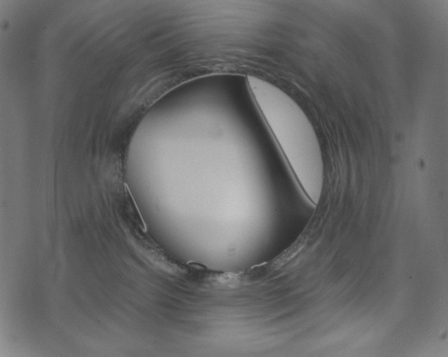 X0000071780092200606300928