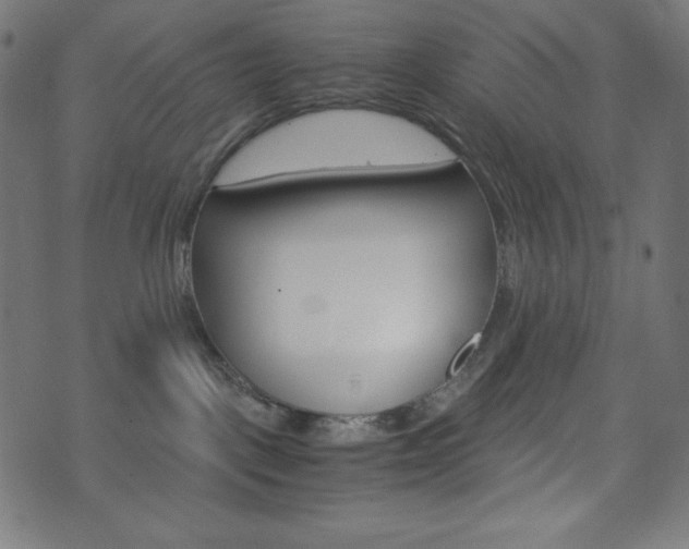 X0000071780093200606300928