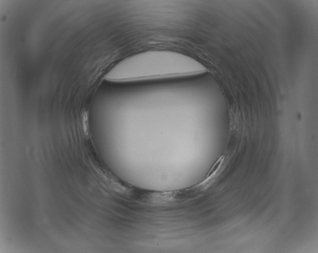 X0000071780094200606300928