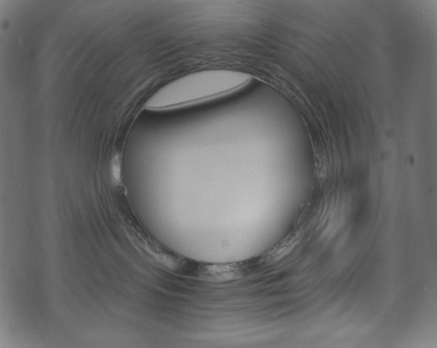 X0000071780095200606300928