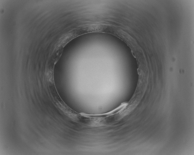 X0000071780096200606300928