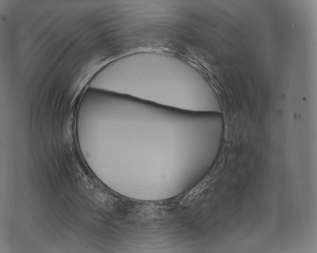 X0000071780098200606300927