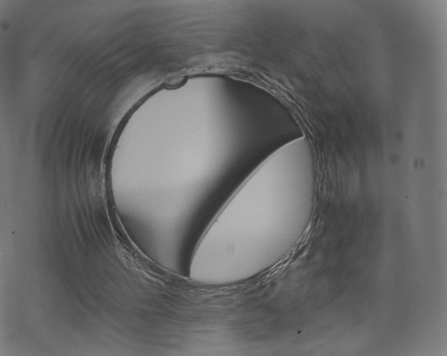 X0000071780100200606300927