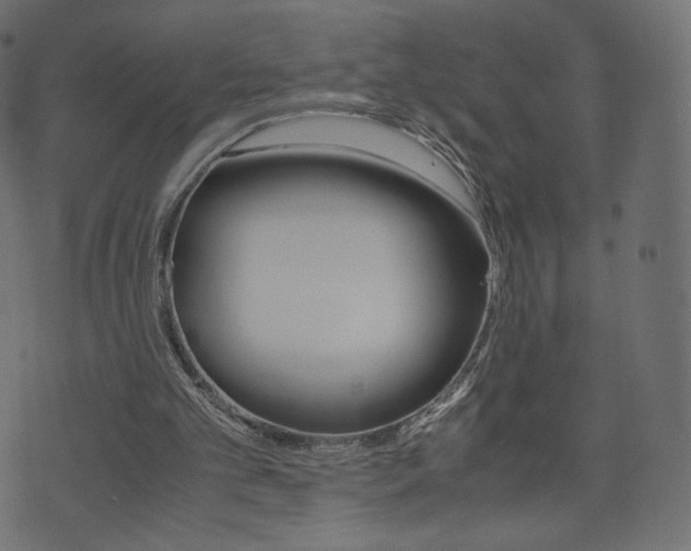 X0000071780101200606300927