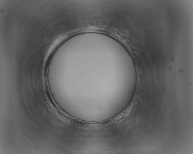 X0000071780102200606300927