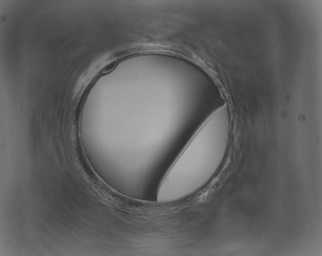 X0000071780103200606300927