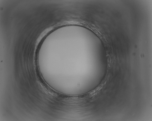 X0000071780104200606300927