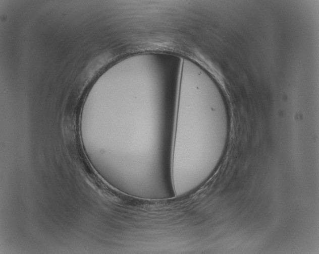 X0000071780107200606300927