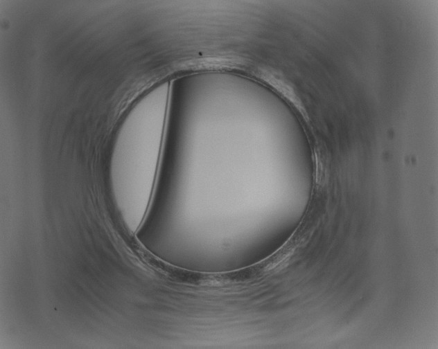 X0000071780109200606300927