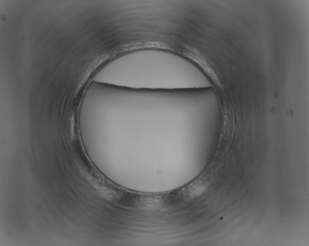 X0000071780110200606300927