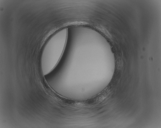 X0000071780111200606300927