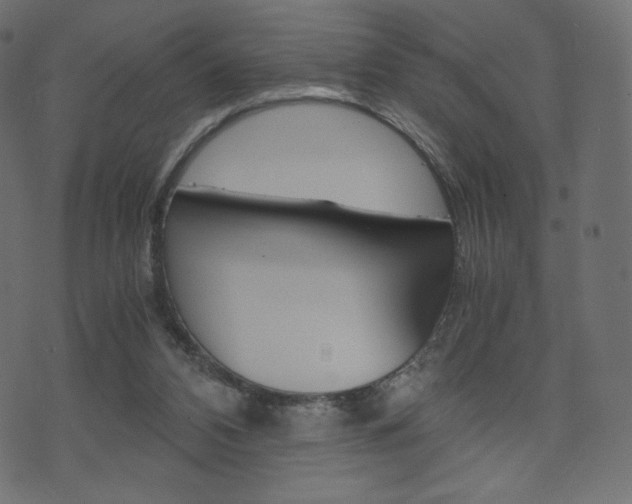 X0000071780112200606300927