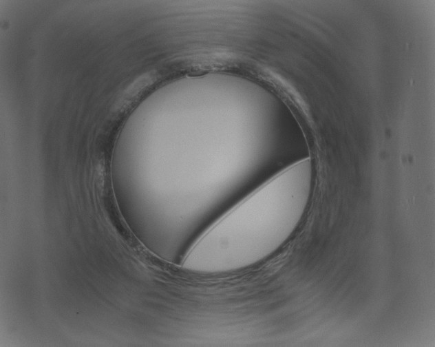 X0000071780113200606300927