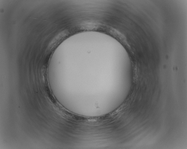 X0000071780114200606300927