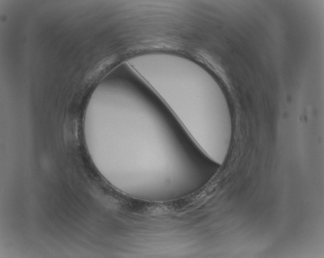 X0000071780115200606300927